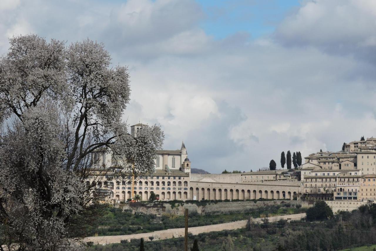 Bed and Breakfast Da Franca Assisi Exterior foto